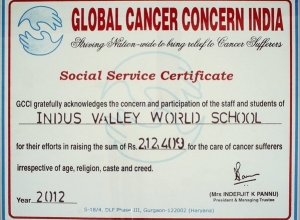 GLOBAL CANCER CONCERN INDIA